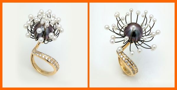 Galatea Blossom Collection